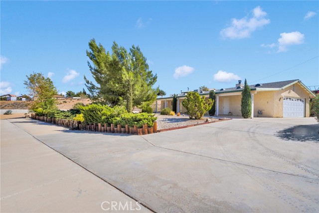 Photo of 10765 Choiceana