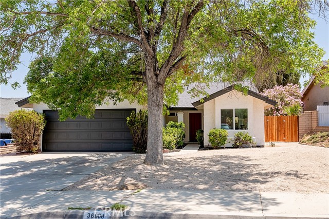 Property photo of 36908 Spanish Broom DR