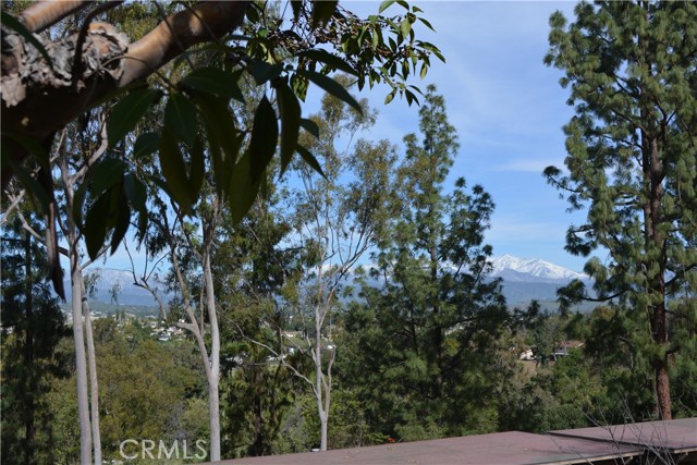 Photo of 22812 Hilton Head