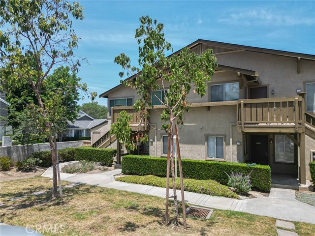 Photo of 81 Rockwood