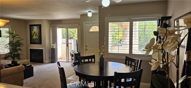 Photo of 21208 Camelia