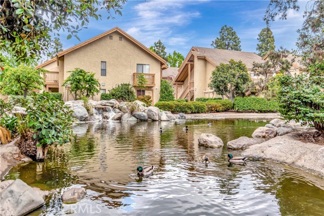 Property photo of 224 Tangelo