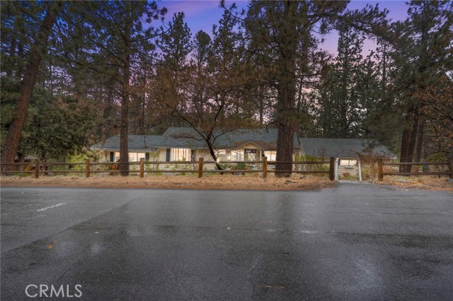 Photo of 2046 Thrush