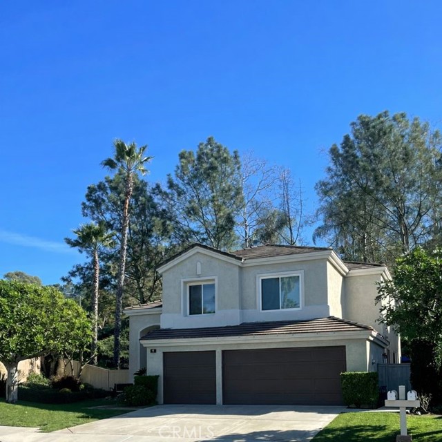 Photo of 2 Blackbird