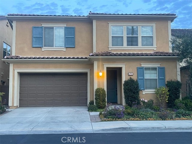 Photo of 14799 Apricot