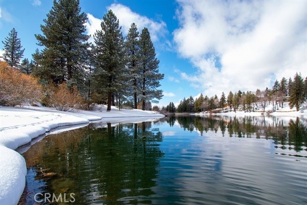 Property photo of 33544 Green Valley Lake RD