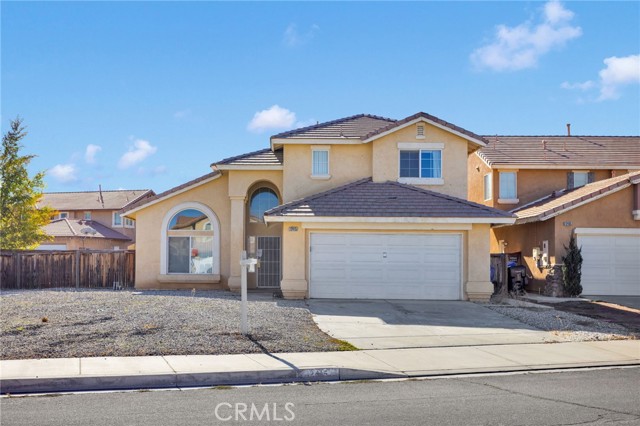 Photo of 12415 Honeybear