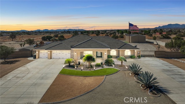 Photo of 9957 Silver Palm