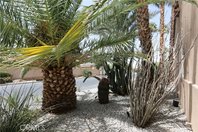 Property photo of 14 Calle Lantana