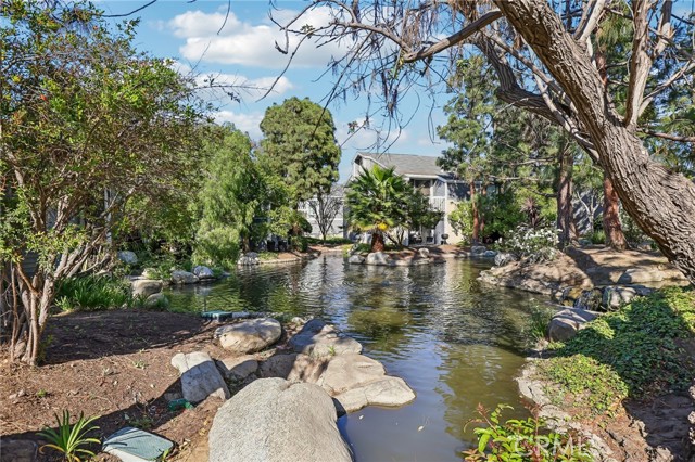 Property photo of 25447 Pine Creek LN