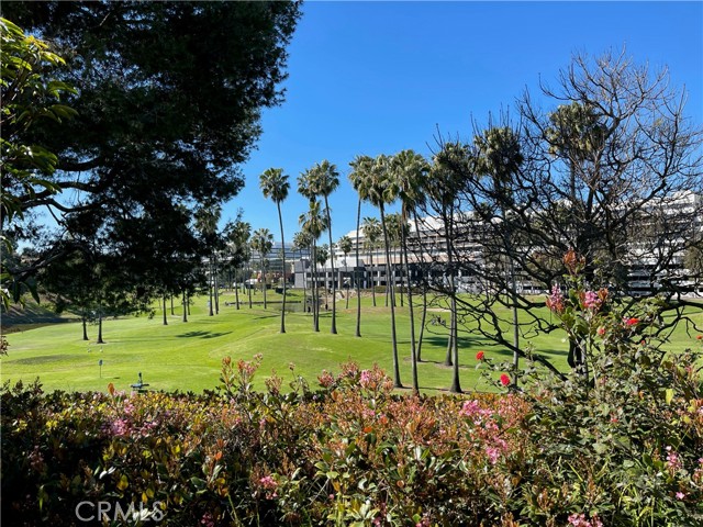 Property photo of 15 Tiburon CT