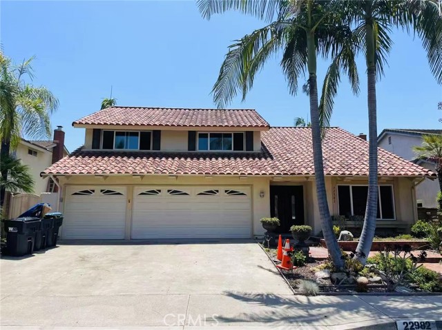 Photo of 22982 Cecelia