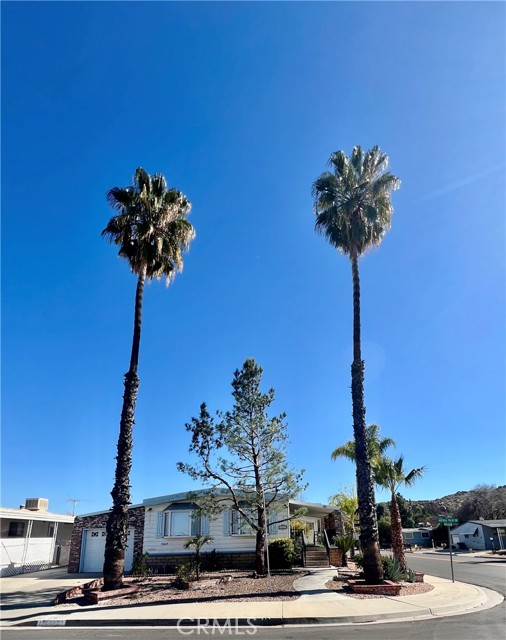 Property photo of 30615 Arenga Palm DR