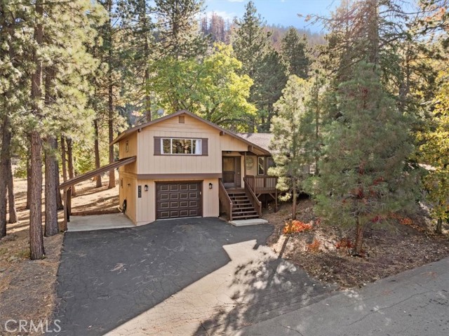Photo of 23132 Cardinal