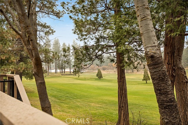 Property photo of 435 Riviera DR