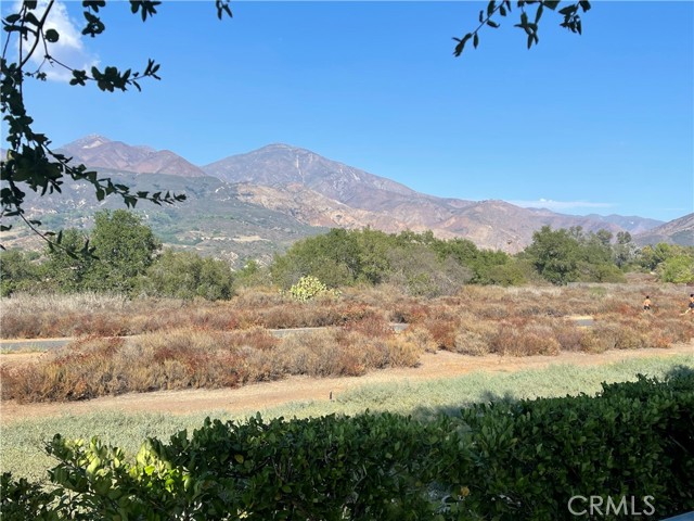 Property photo of 21 Lobelia
