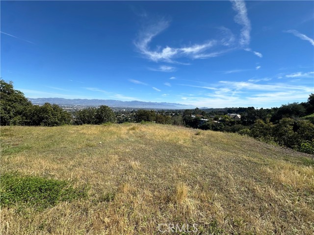 Property photo of 16986 Encino Hills DR