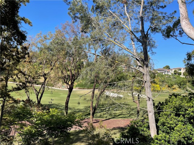 Property photo of 7 Canyon Island DR