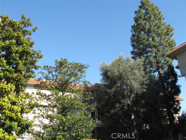 Property photo of 2402 Via Mariposa