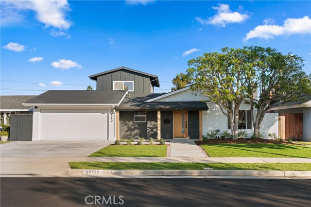 Photo of 20642 Goshawk