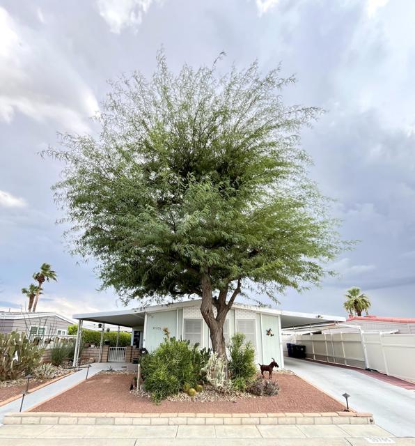 Property photo of 39705 Manzanita DR