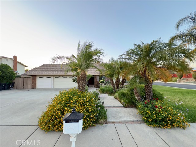 Photo of 25488 Orange Crest Wy