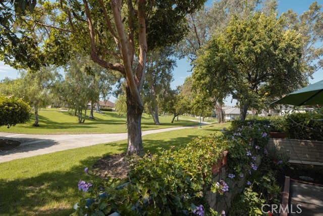 Property photo of 37 Dogwood