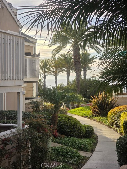 Property photo of 34134 Selva Road