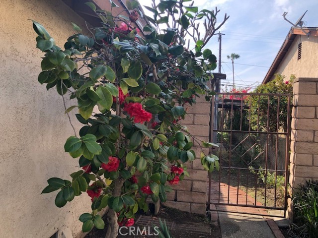 Property photo of 855 S Calvados