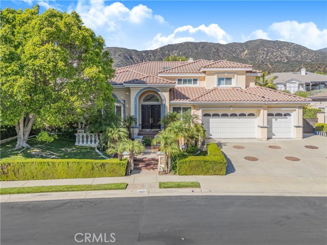 Photo of 2463 Abadejo