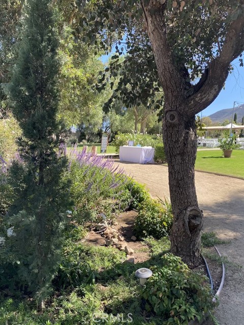 Property photo of 33755 Sidney