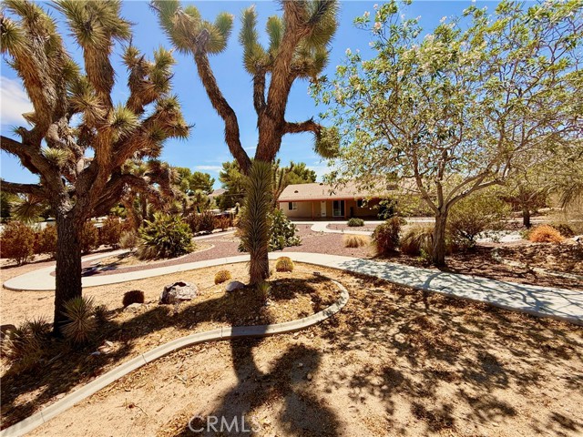 Property photo of 54822 El Prado TR