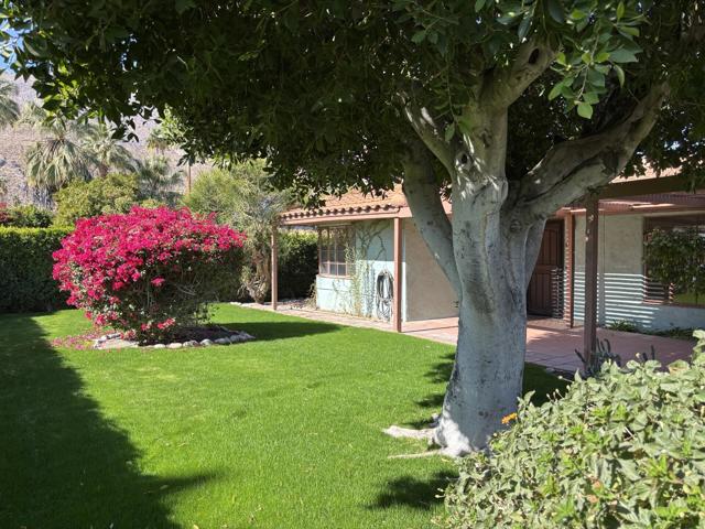 Property photo of 438 E Avenida Hokona