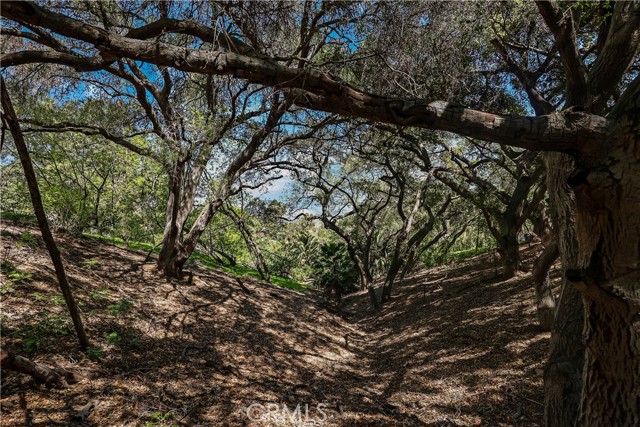 Property photo of 2222 Carbon Canyon RD