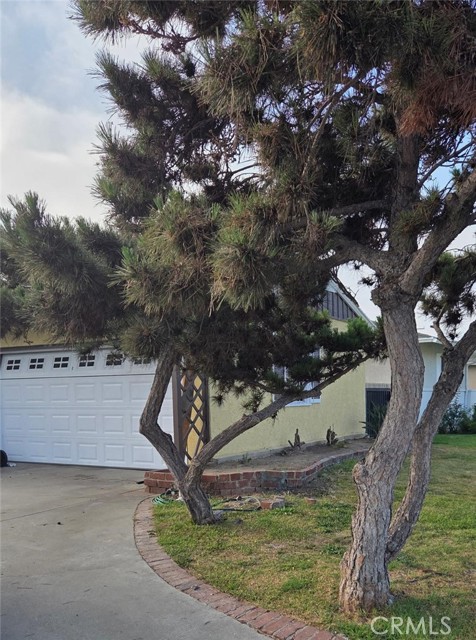 Property photo of 13228 Ruthelen