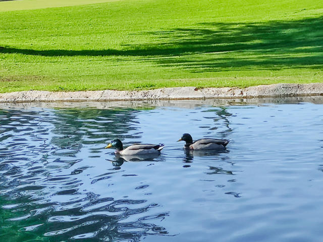 Property photo of 49211 Douglas ST