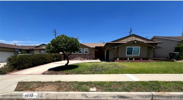 Property photo of 1135 W Coolfield DR
