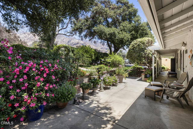 Photo of 3624 Leilani Wy