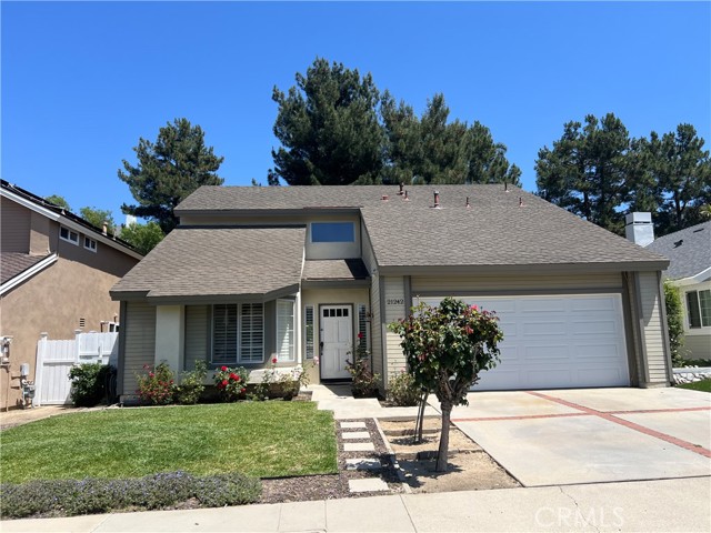 Photo of 21242 Bristlecone