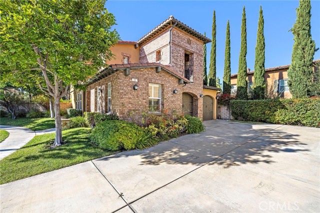 Photo of 21 Paperbark