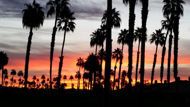 Property photo of 110 Conejo CR