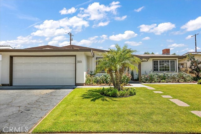 Photo of 2930 Treefern