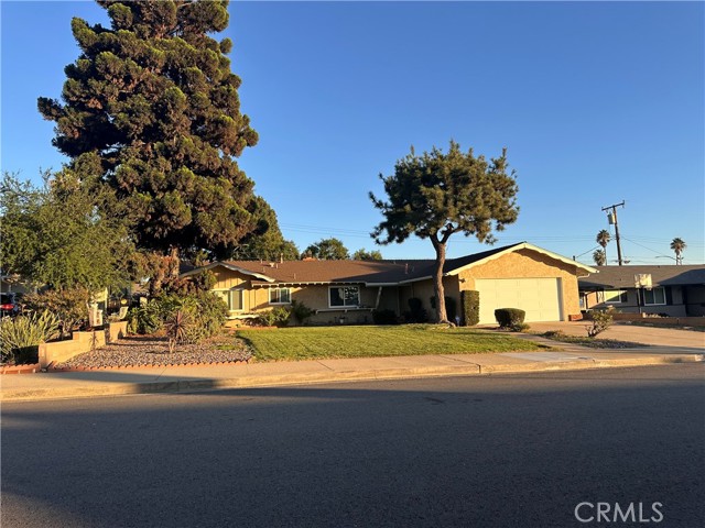 Photo of 2066 Royalty