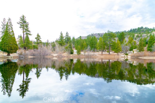 Property photo of 33303 Lake View DR