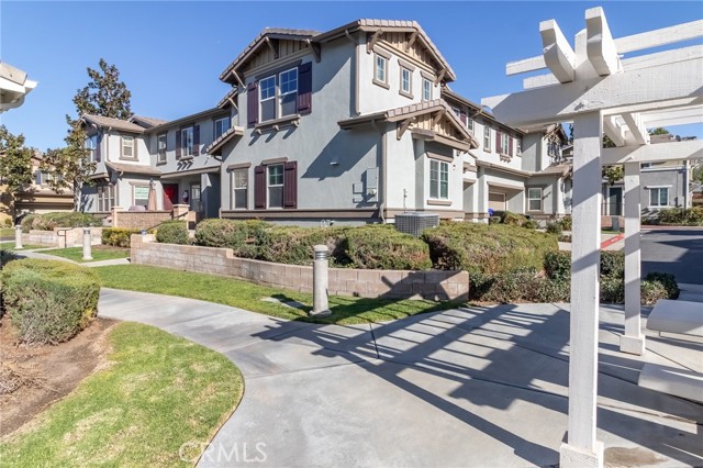 Photo of 22331 Blue Lupine