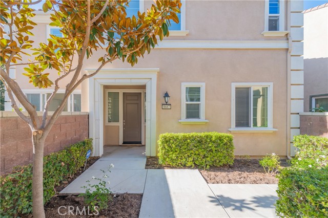 Photo of 8687 Festival