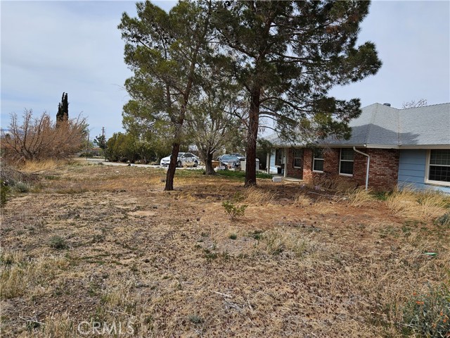 Property photo of 11175 Tyee RD