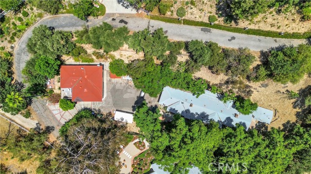 Property photo of 4905 Palo DR