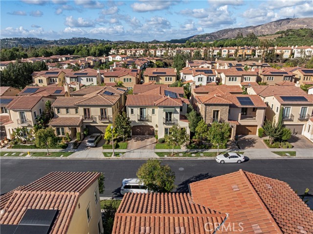 Photo of 9 Spanish Moss