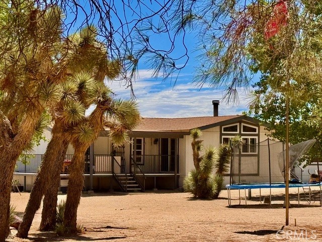 Property photo of 11023 Ailanthus ST